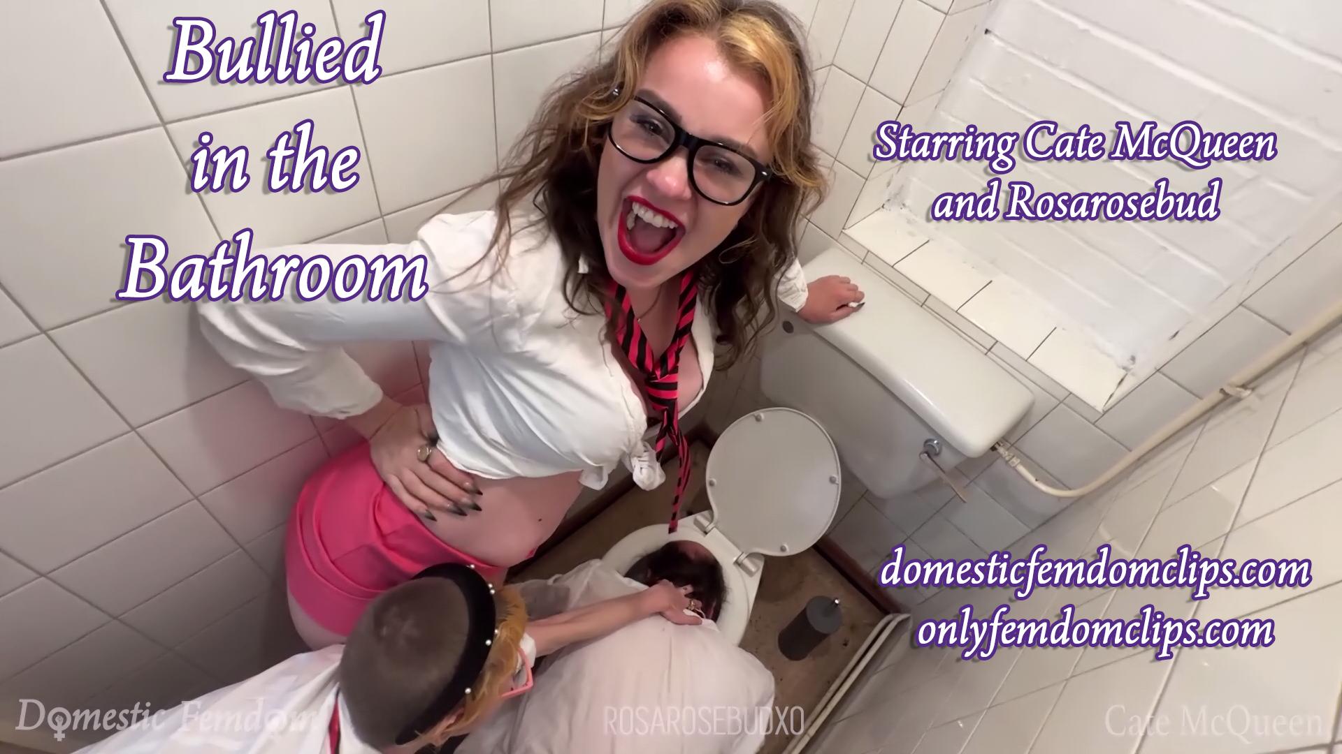 Bullied in Bathroom Title Slide - Bullied in the Bathroom